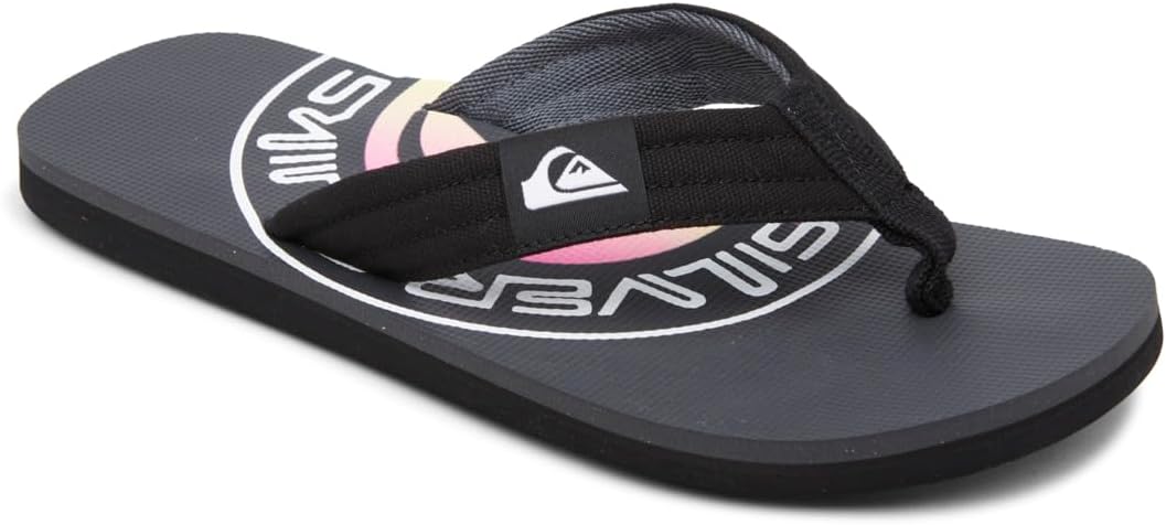 Quiksilver Molokai Layback Chanclas, Hombre, Multicolor (Grey/Green/Grey), 41 EU 🇪🇸