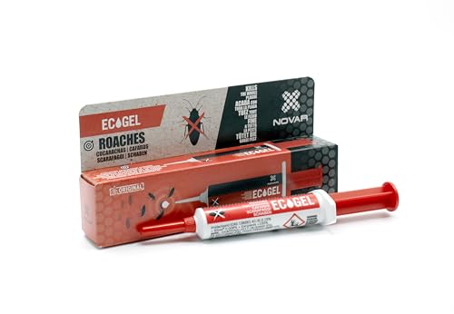 Kit completo