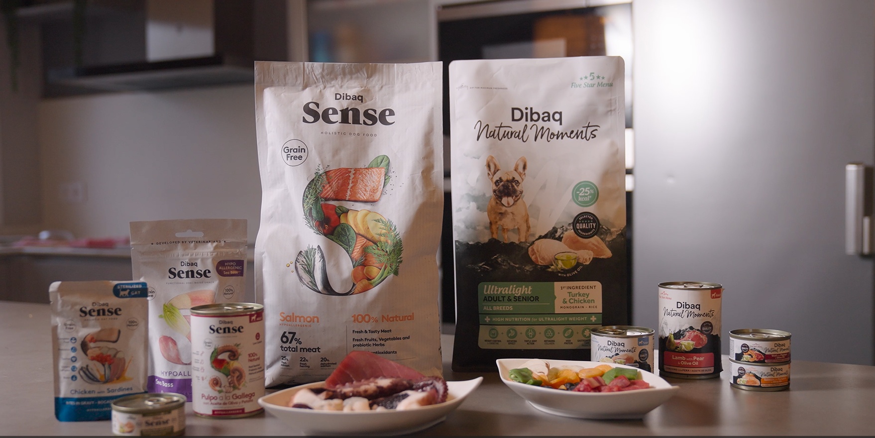 Dicat Up Adulto Pescado y Arroz Formato 14 Kg ❗️ 🇪🇸
