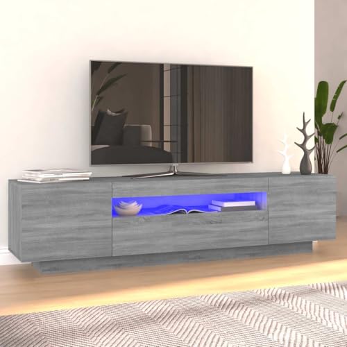 Refined Mueble de TV con Luces LED Gris Sonoma 160x35x40 cm